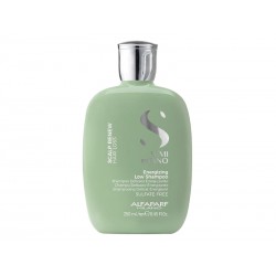 Alfaparf SDL Scalp Renew Energizing Shampoo 250ml (Hair Loss)