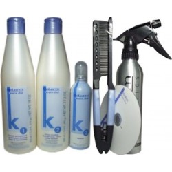 Salerm Keratin Shot Kit - Maintains Hair Straight for up to 24 weeks (Group of 6)